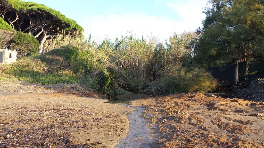 I fossi e lo stagno di Baratti (Piombino - LI)